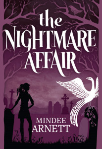 Nightmare Affair Book Cover