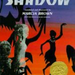 Shadow Book Cover