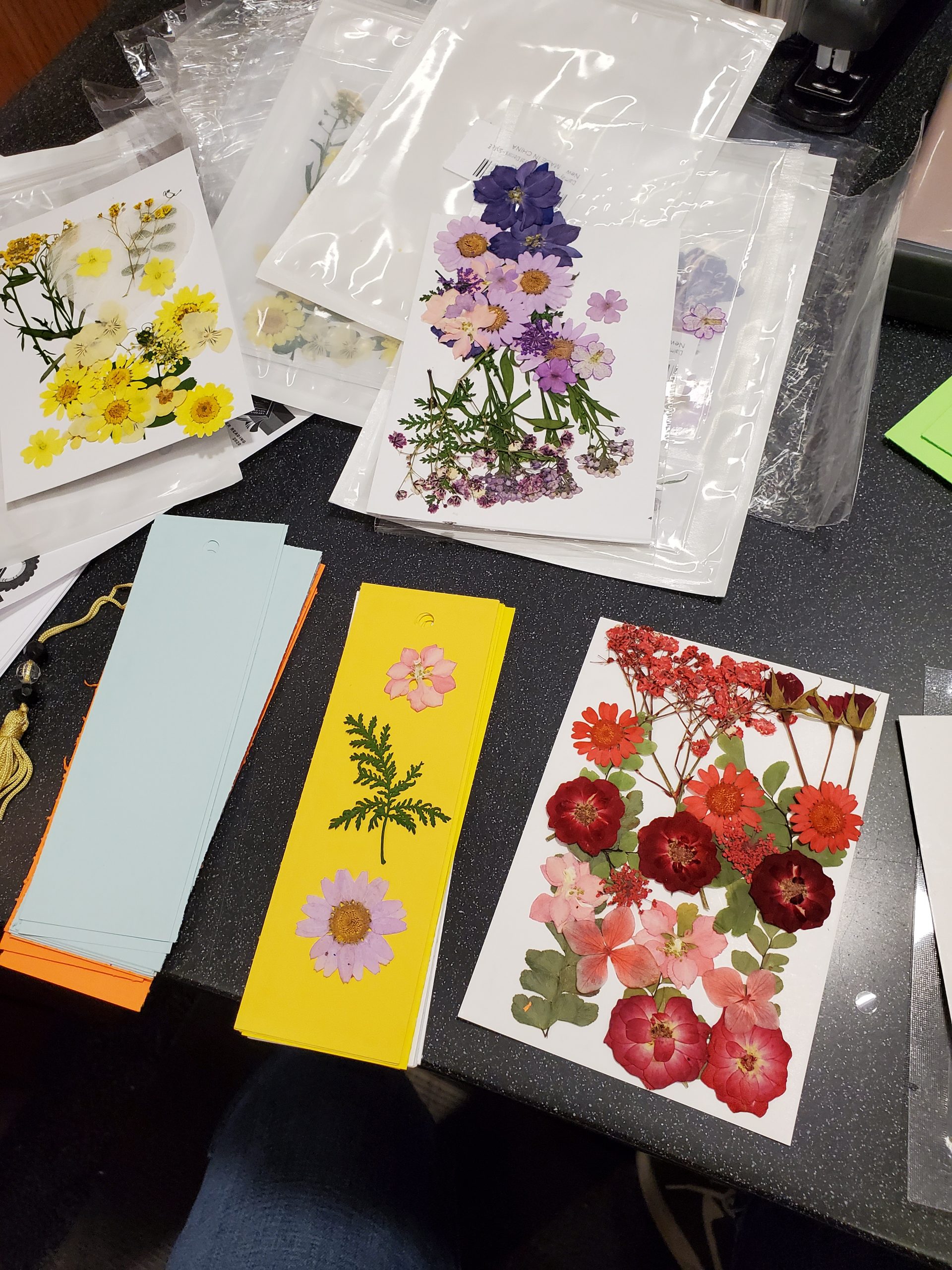 Learn How to Make your own Pressed Flower Bookmark with the